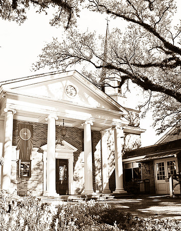 Wisdom sketch 3-11x14 12-05-2009